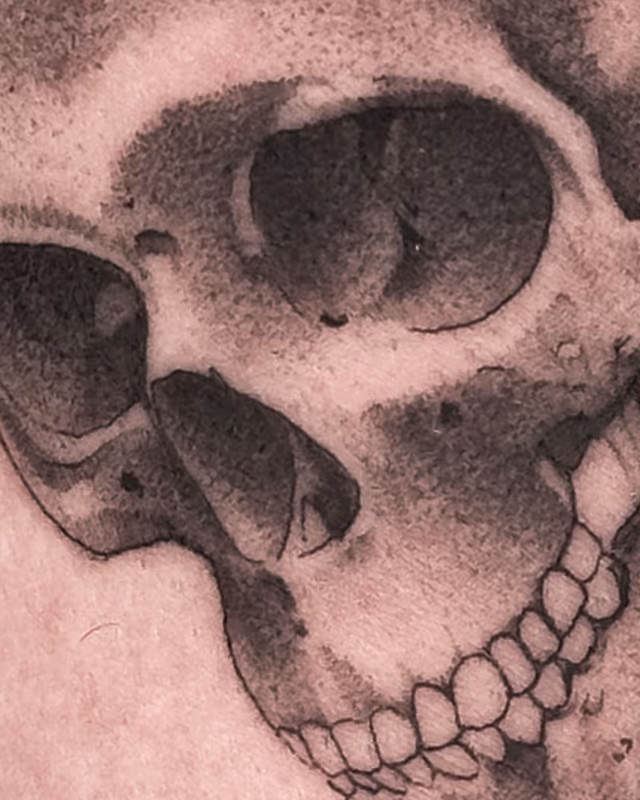 Anatomía 01