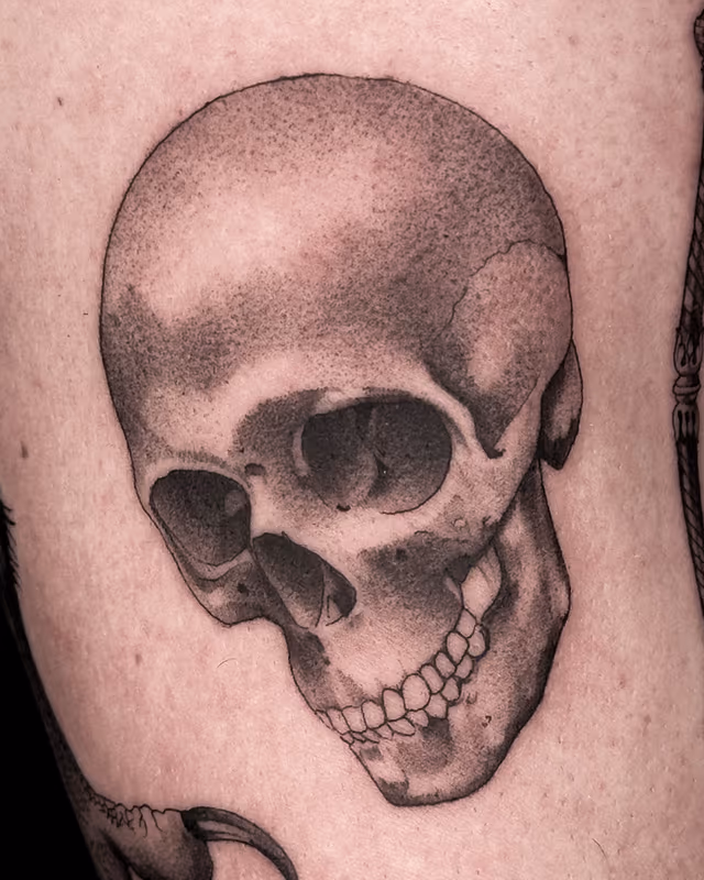 Anatomía 03