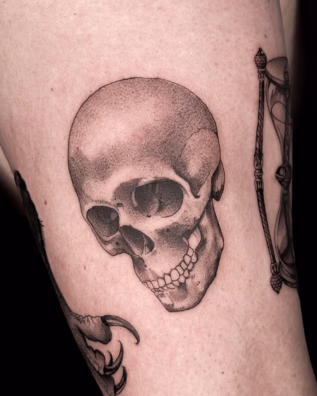 Anatomía 04