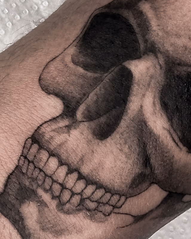 Anatomía 06