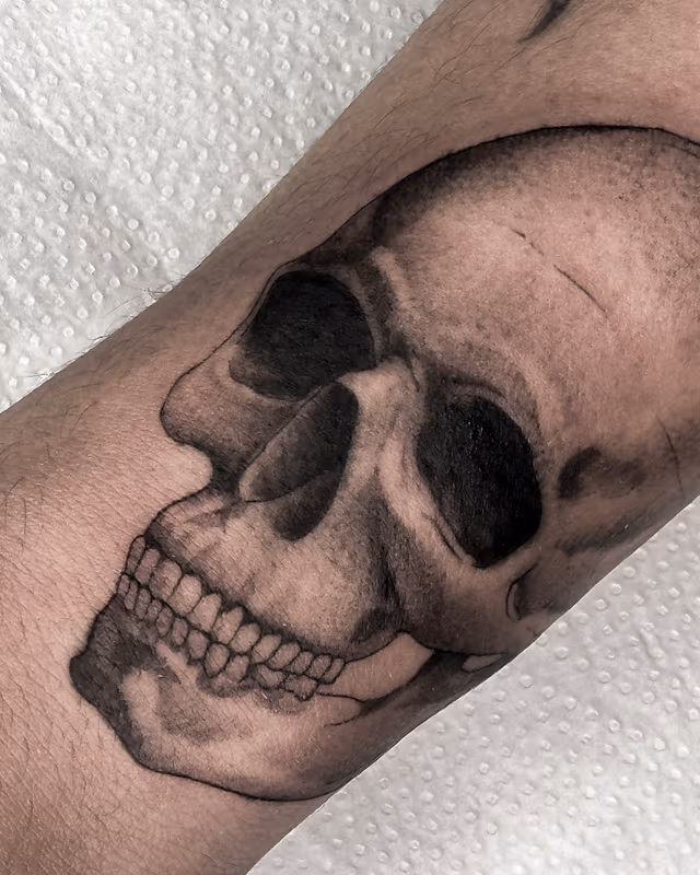 Anatomía 07