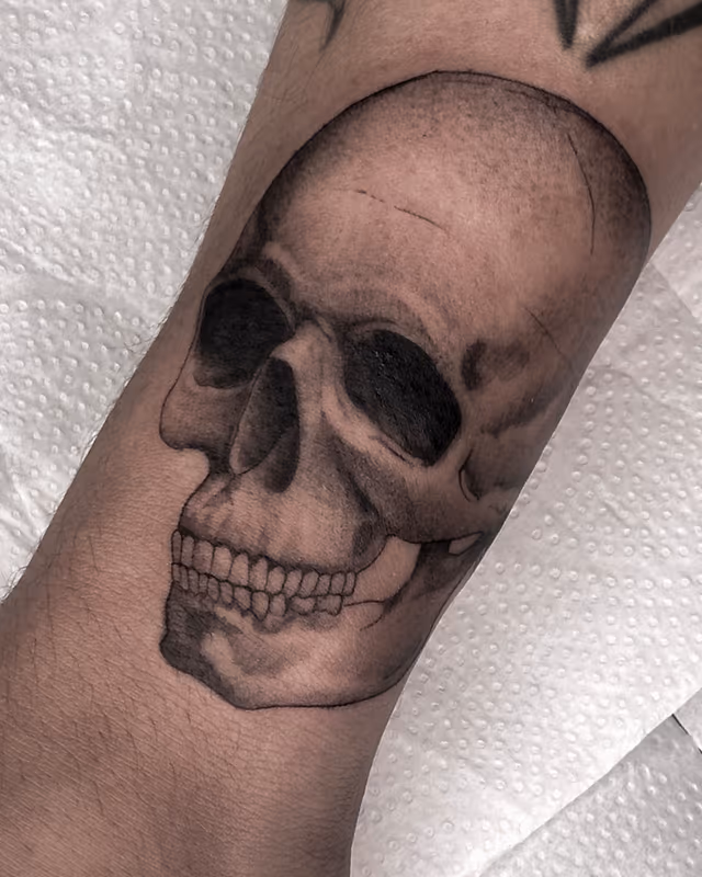 Anatomía 08