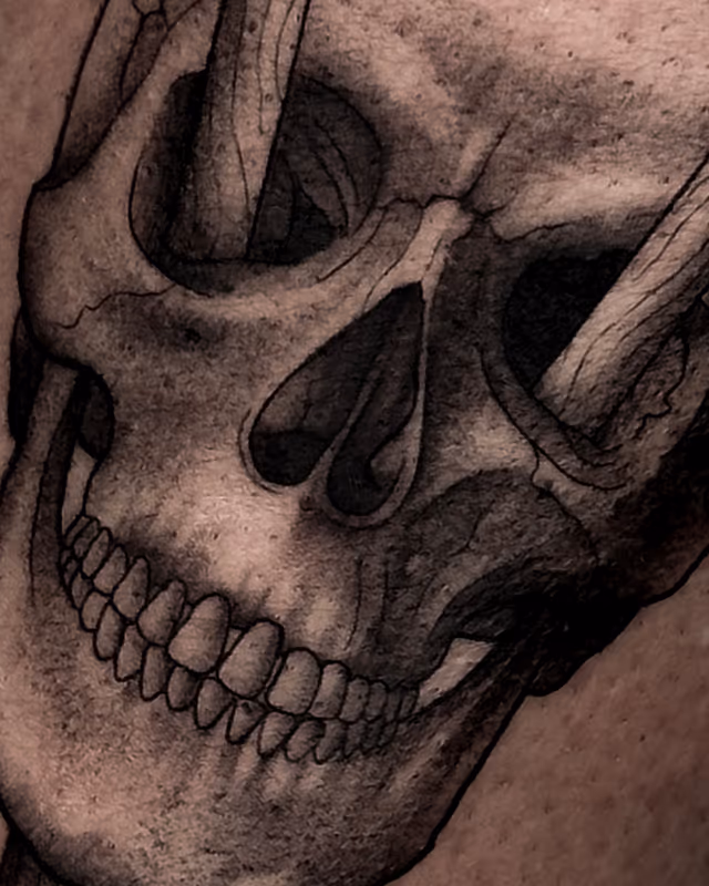 Anatomía 14