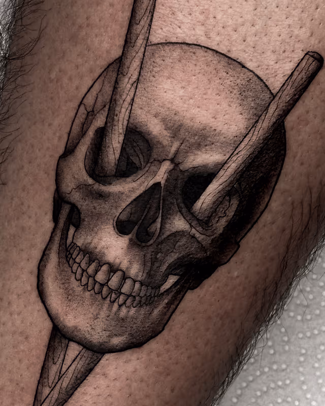 Anatomía 16