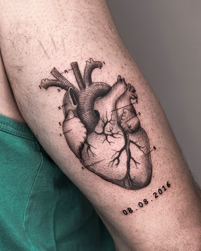Anatomía 21