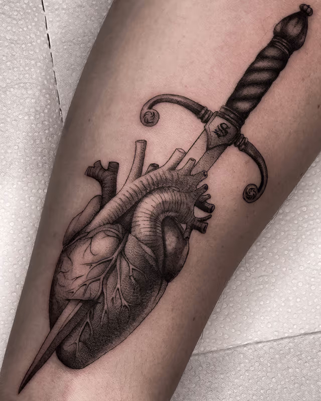 Anatomía 28