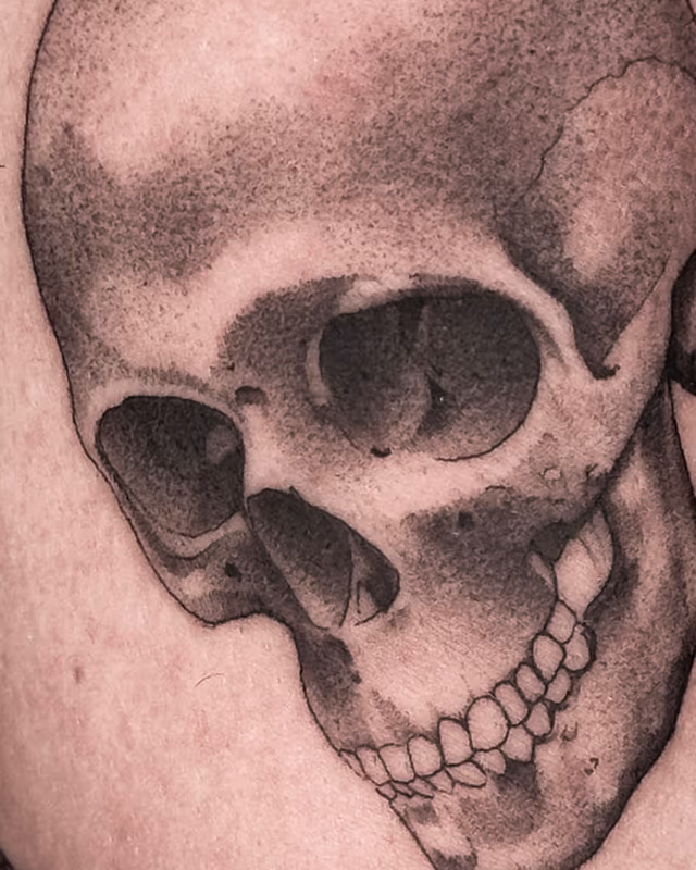 Anatomía 31