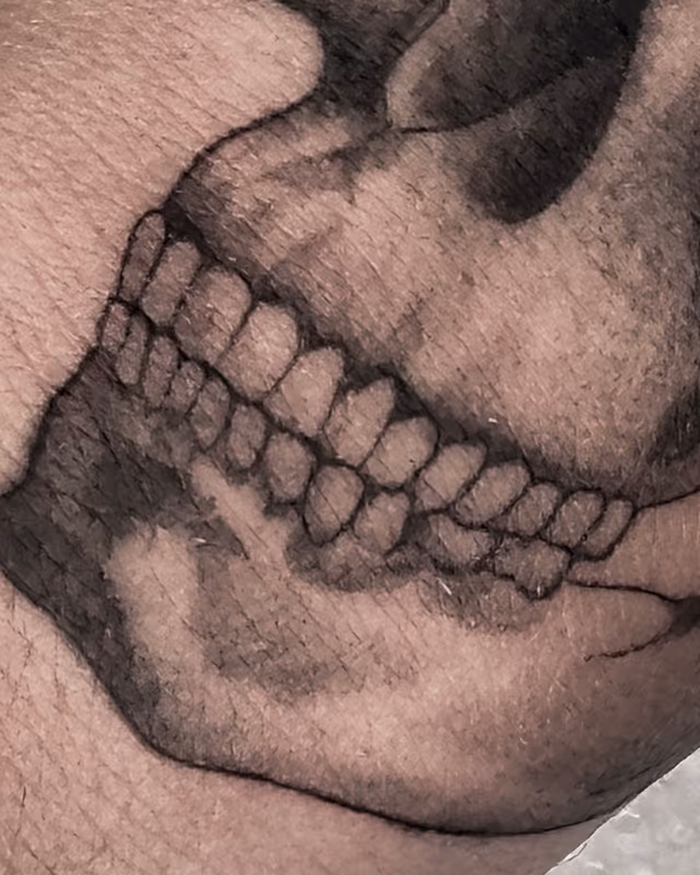 Anatomía 34