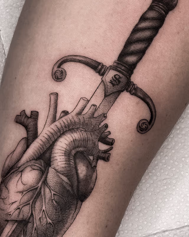 Anatomía 37