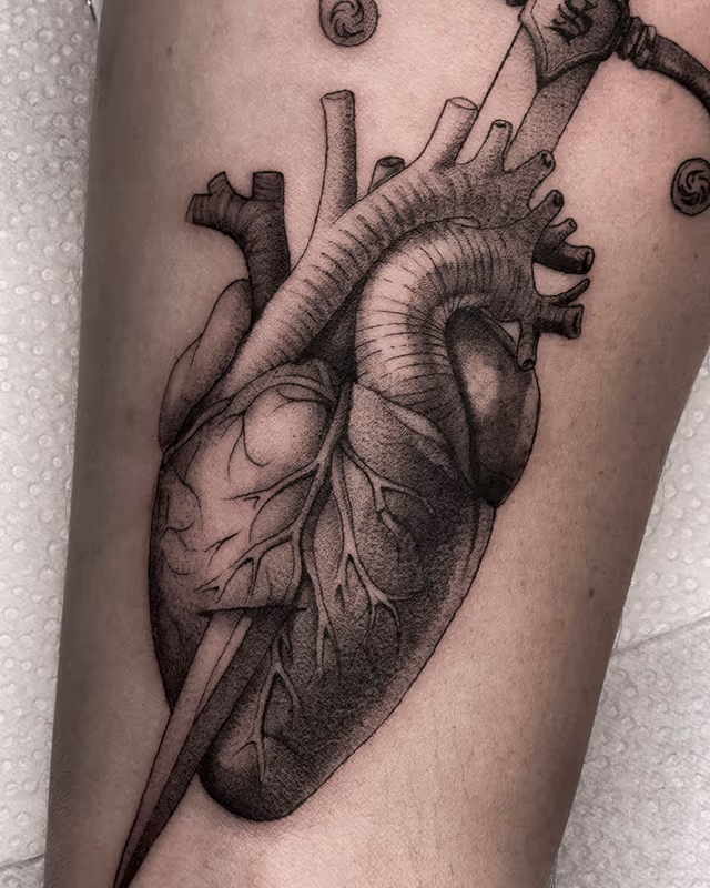 Anatomía 40