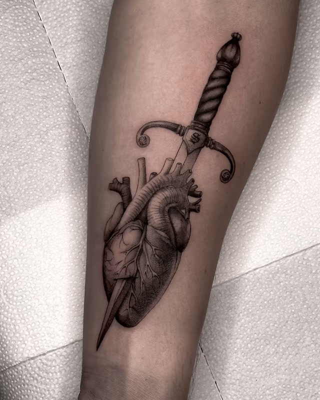 Anatomía 43