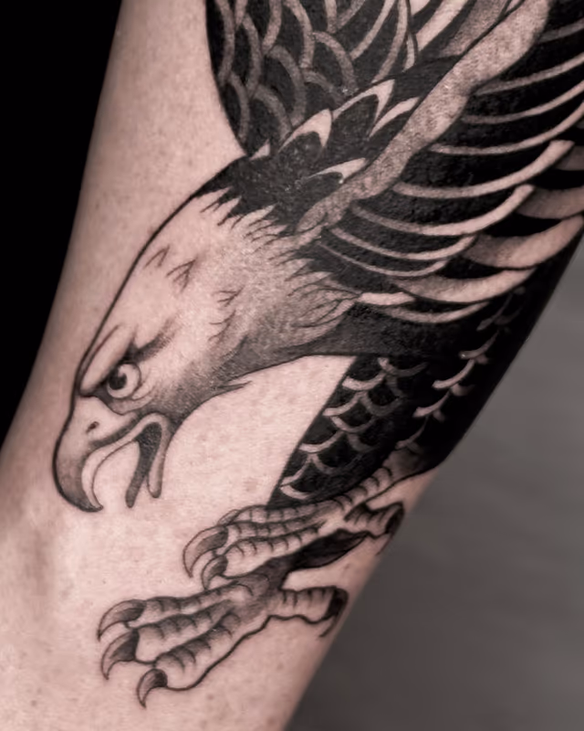 Animales 01