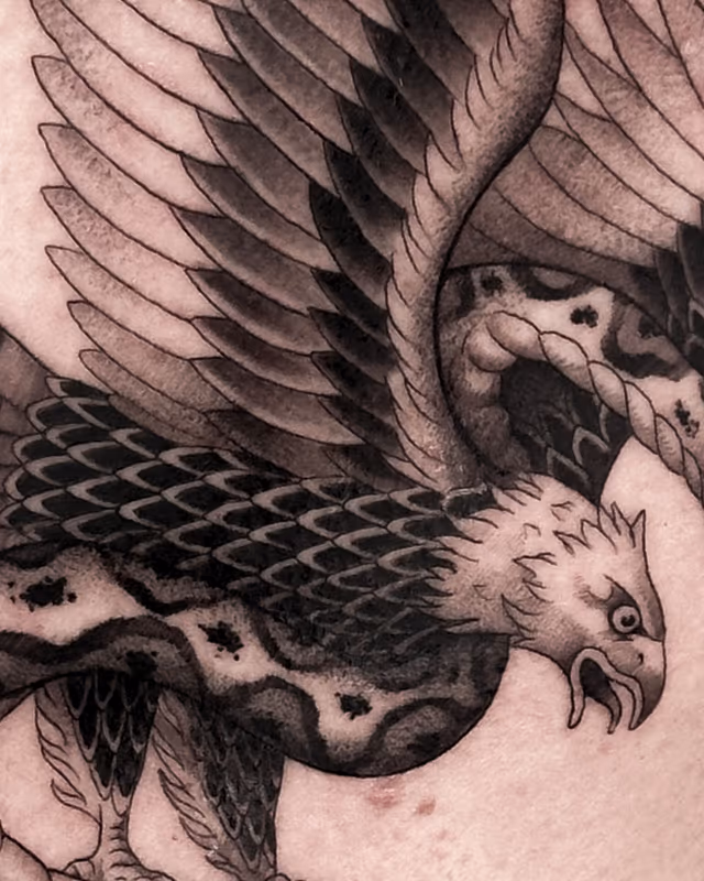 Animales 05