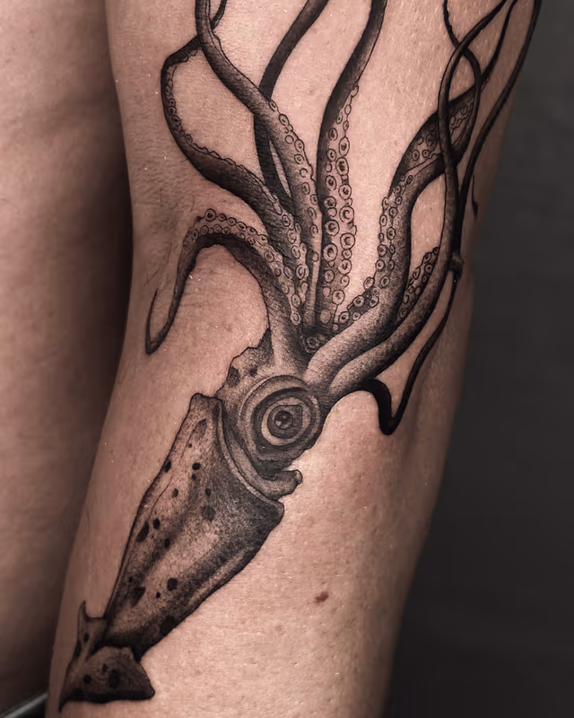 Animales 08