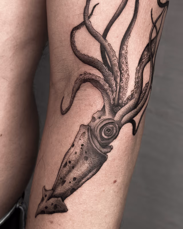 Animales 09