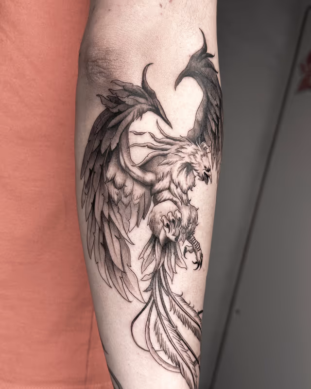 Animales 18