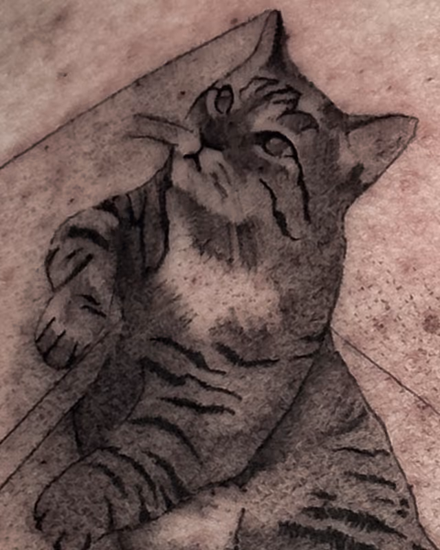 Animales 19