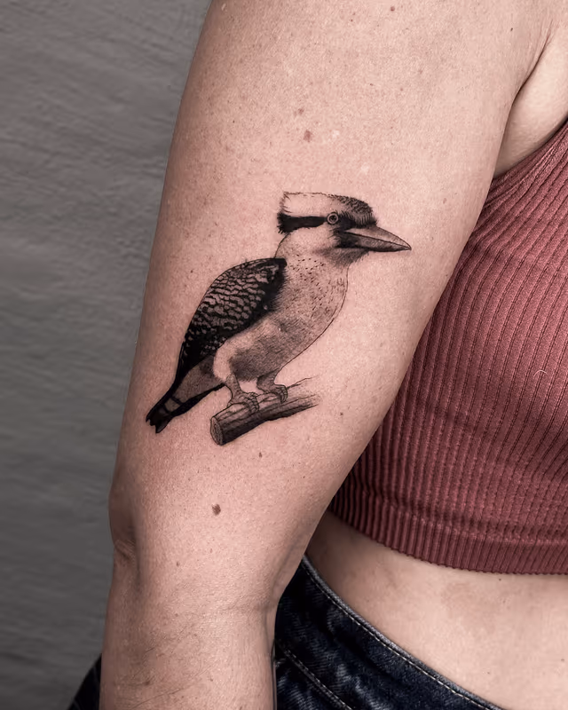 Animales 23