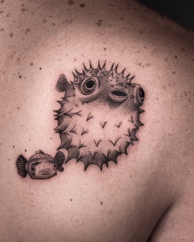 Animales 30