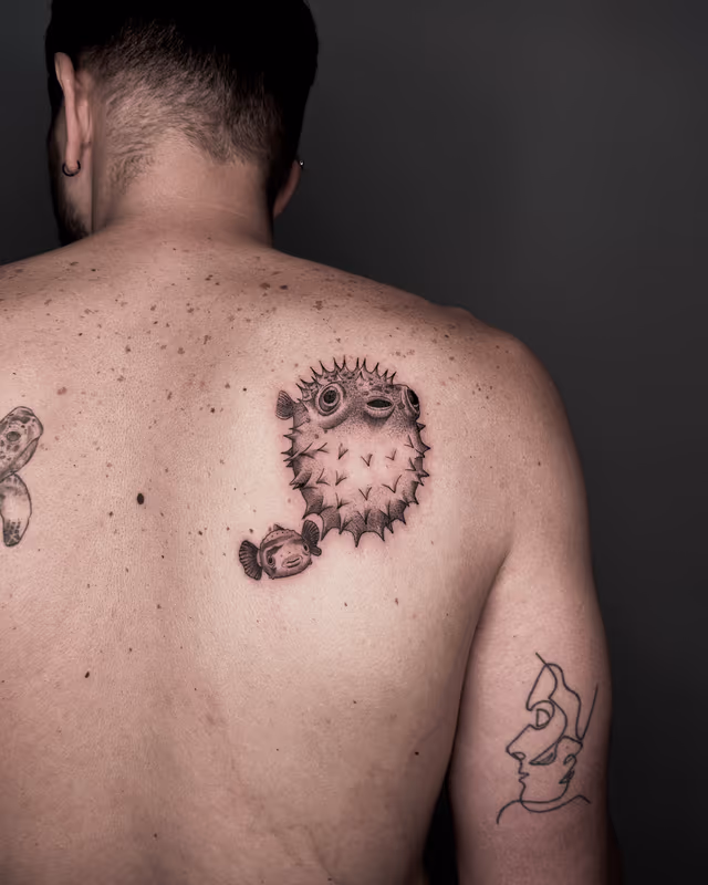 Animales 31