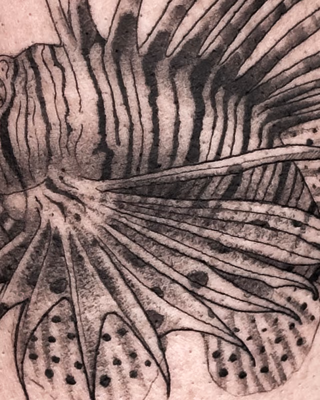 Animales 32