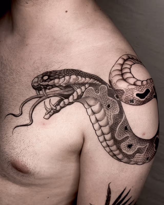 Animales 40