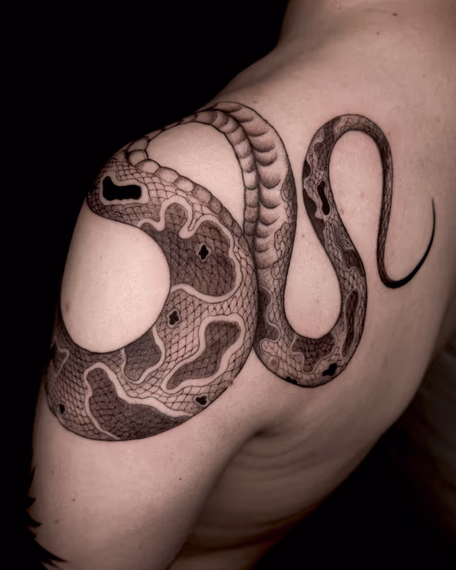 Animales 42