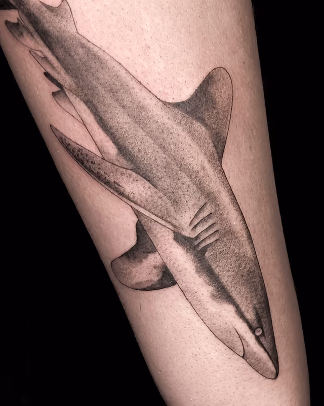 Animales 44