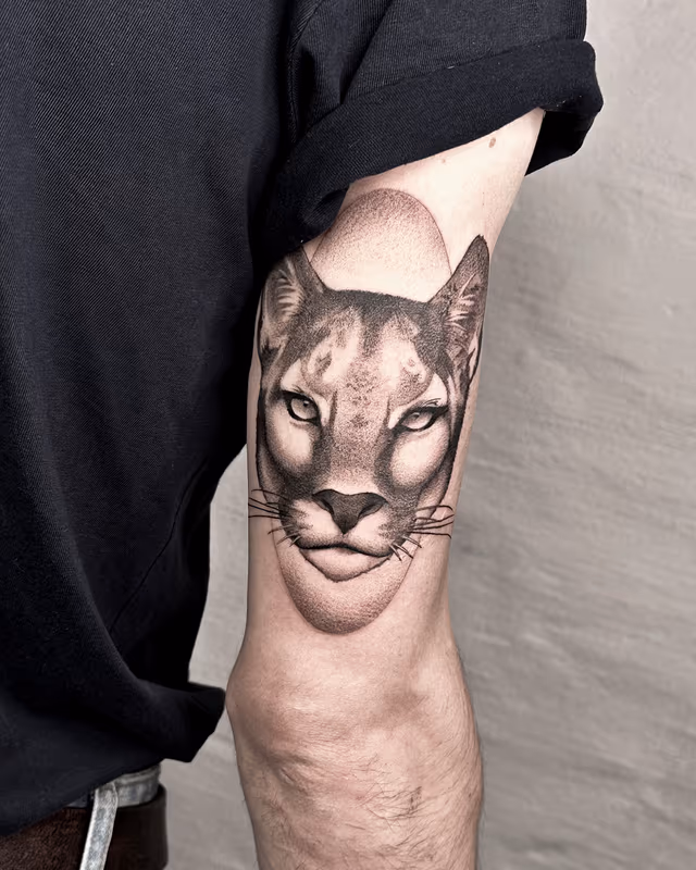 Animales 45