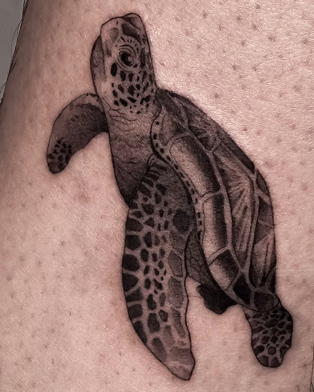 Animales 50