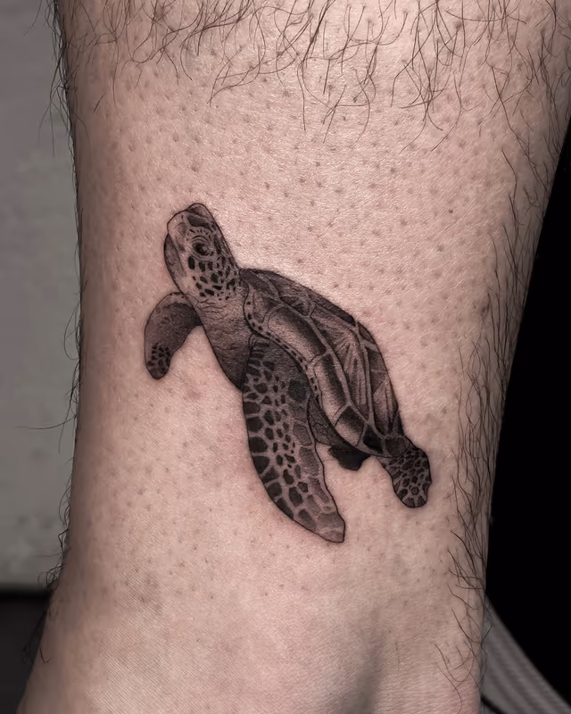 Animales 51