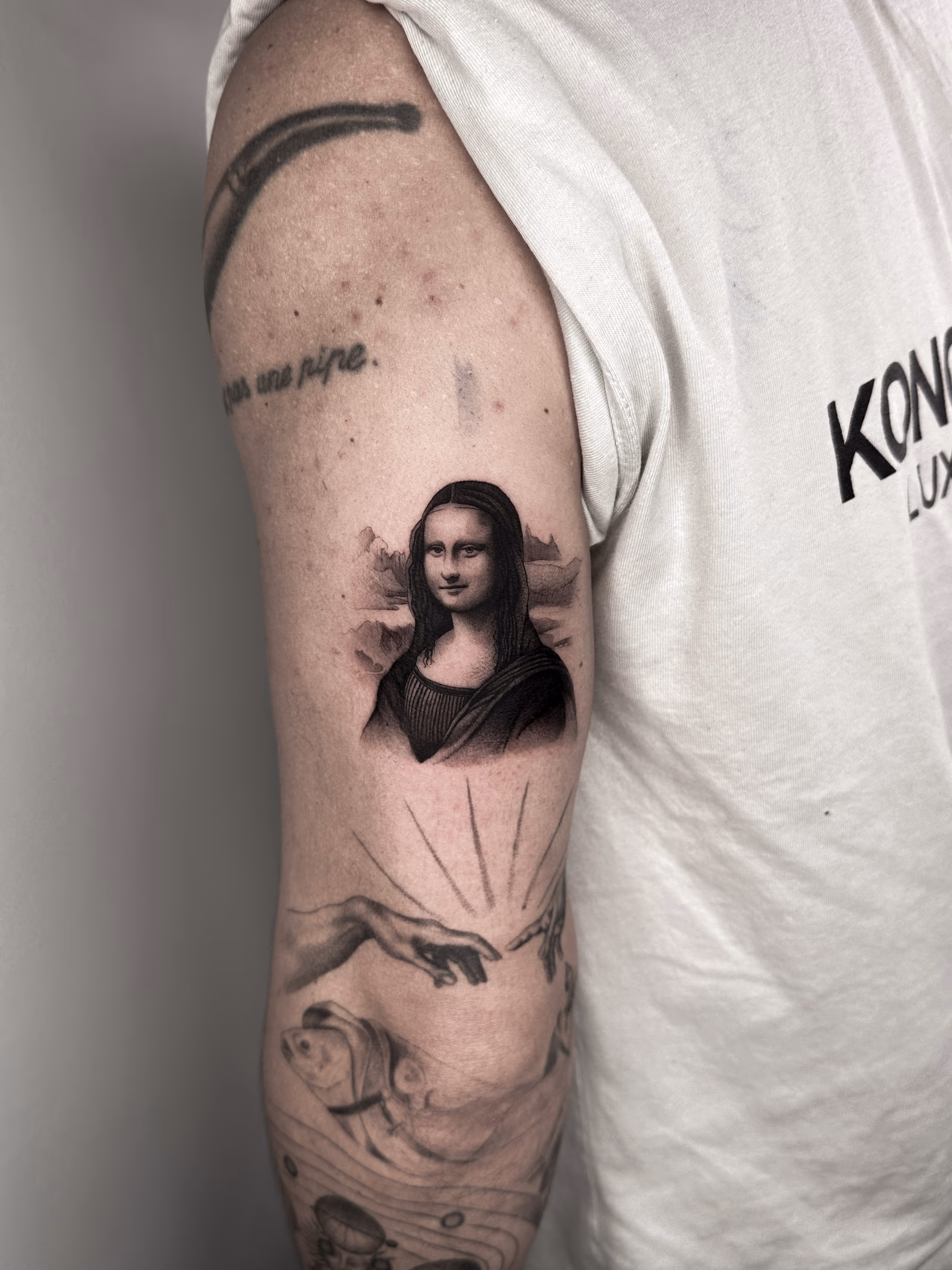 Arte 23