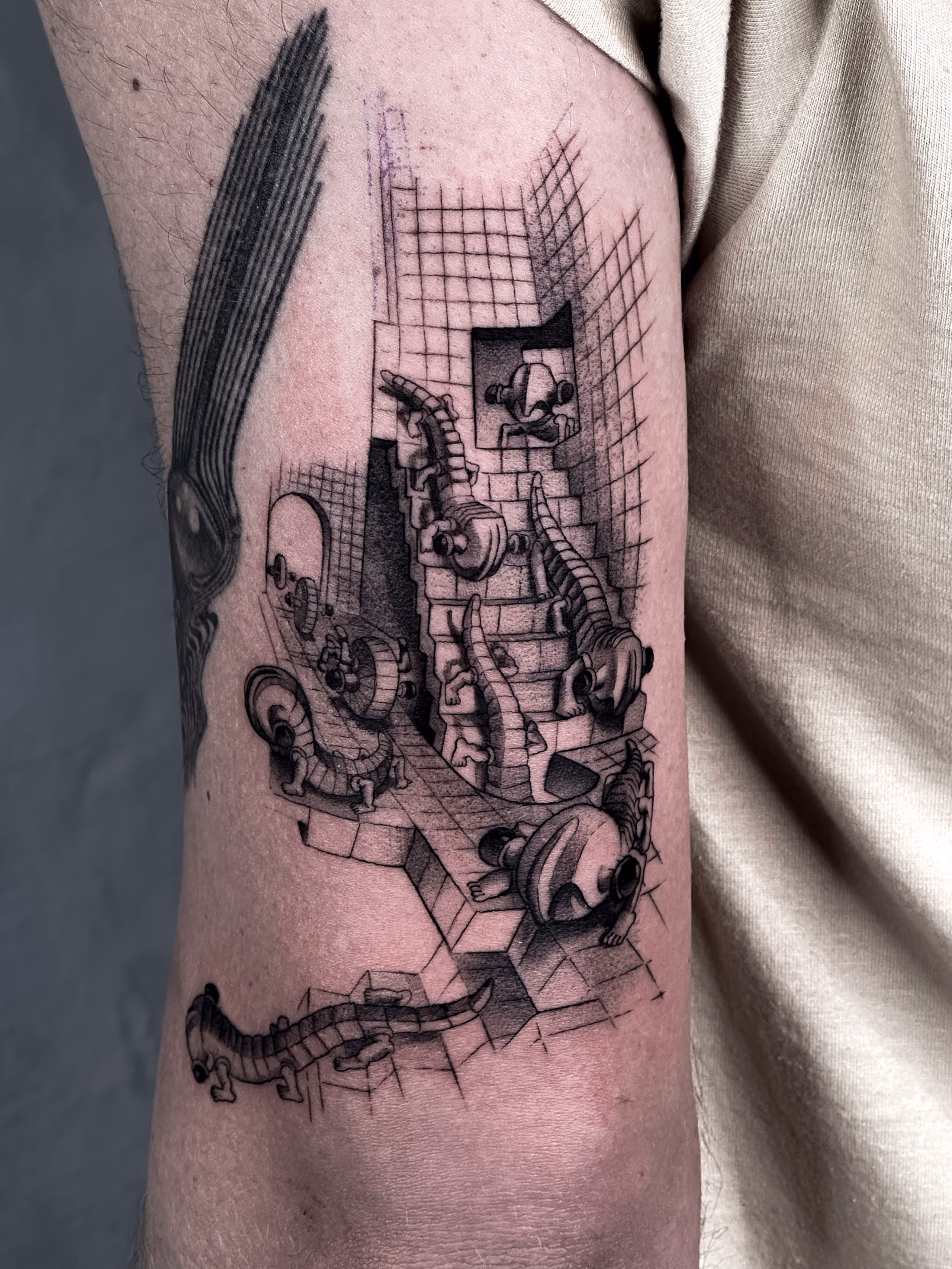Arte 44