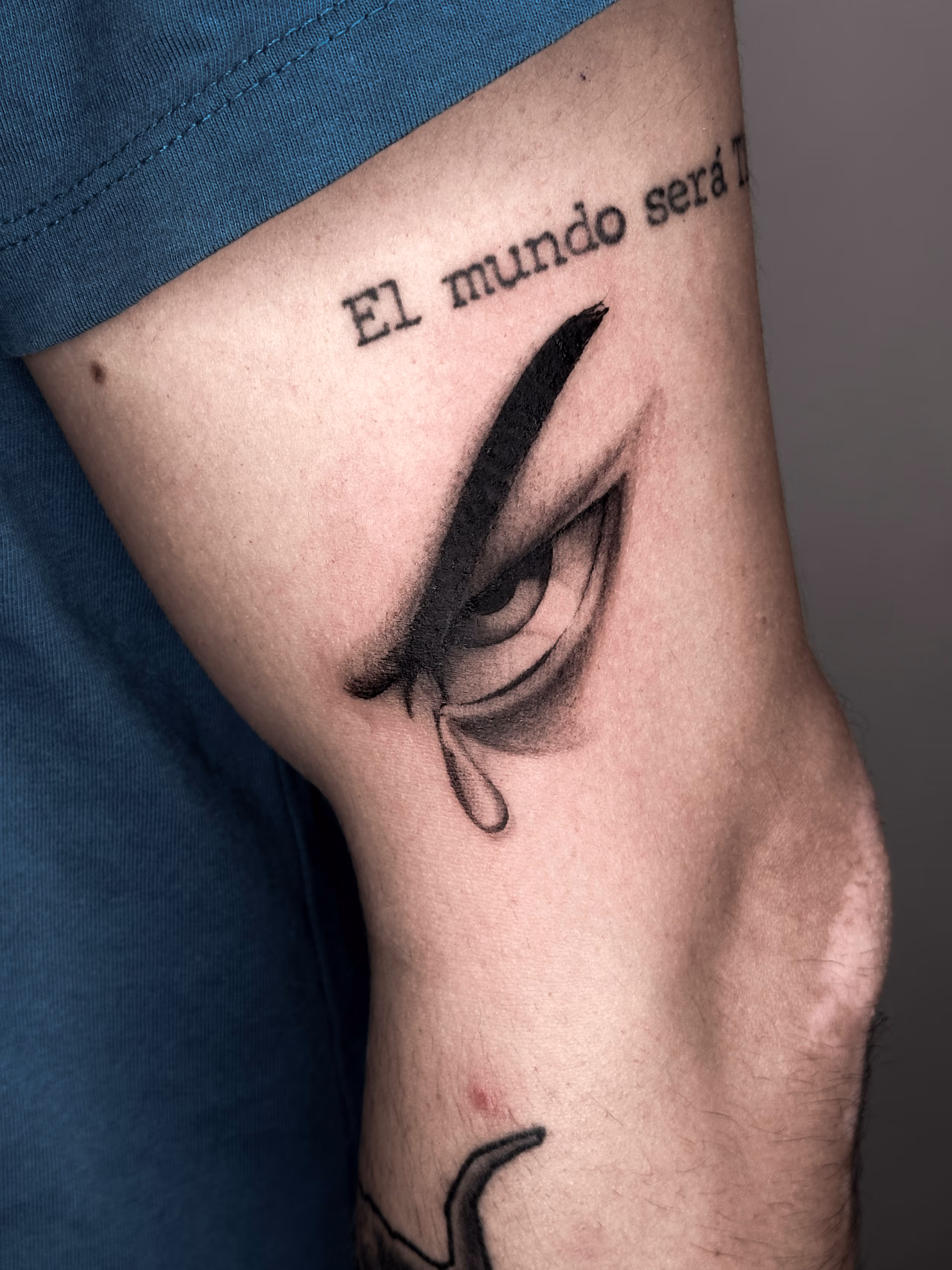 Arte 65