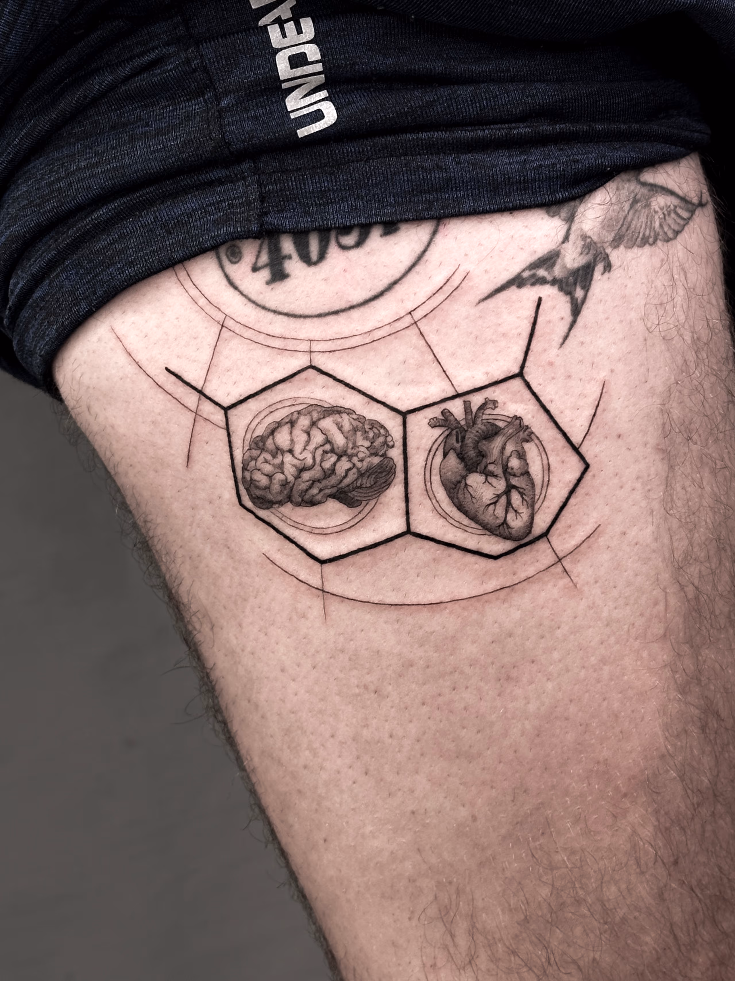 Composiciones 10