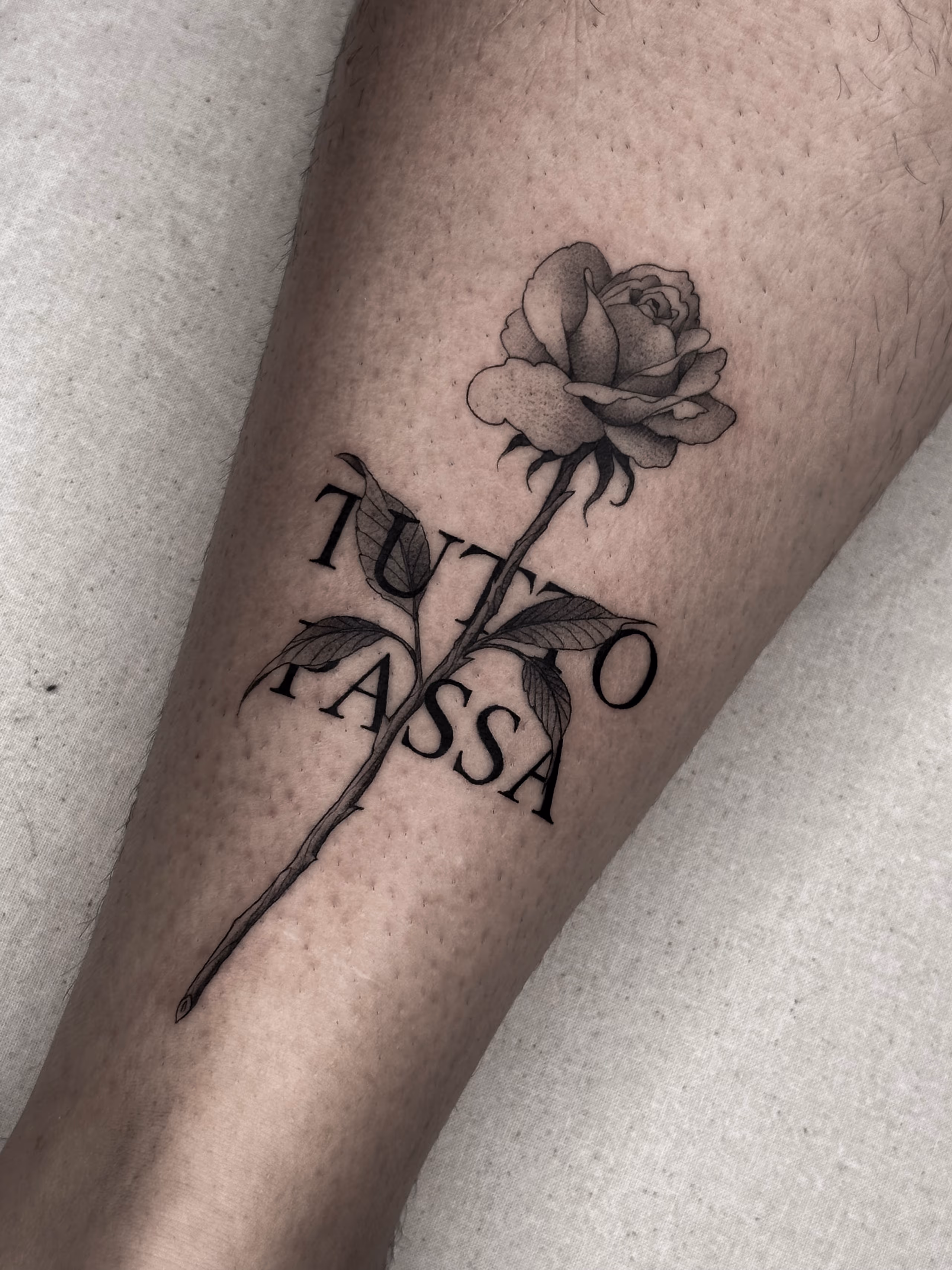 Flashes 06