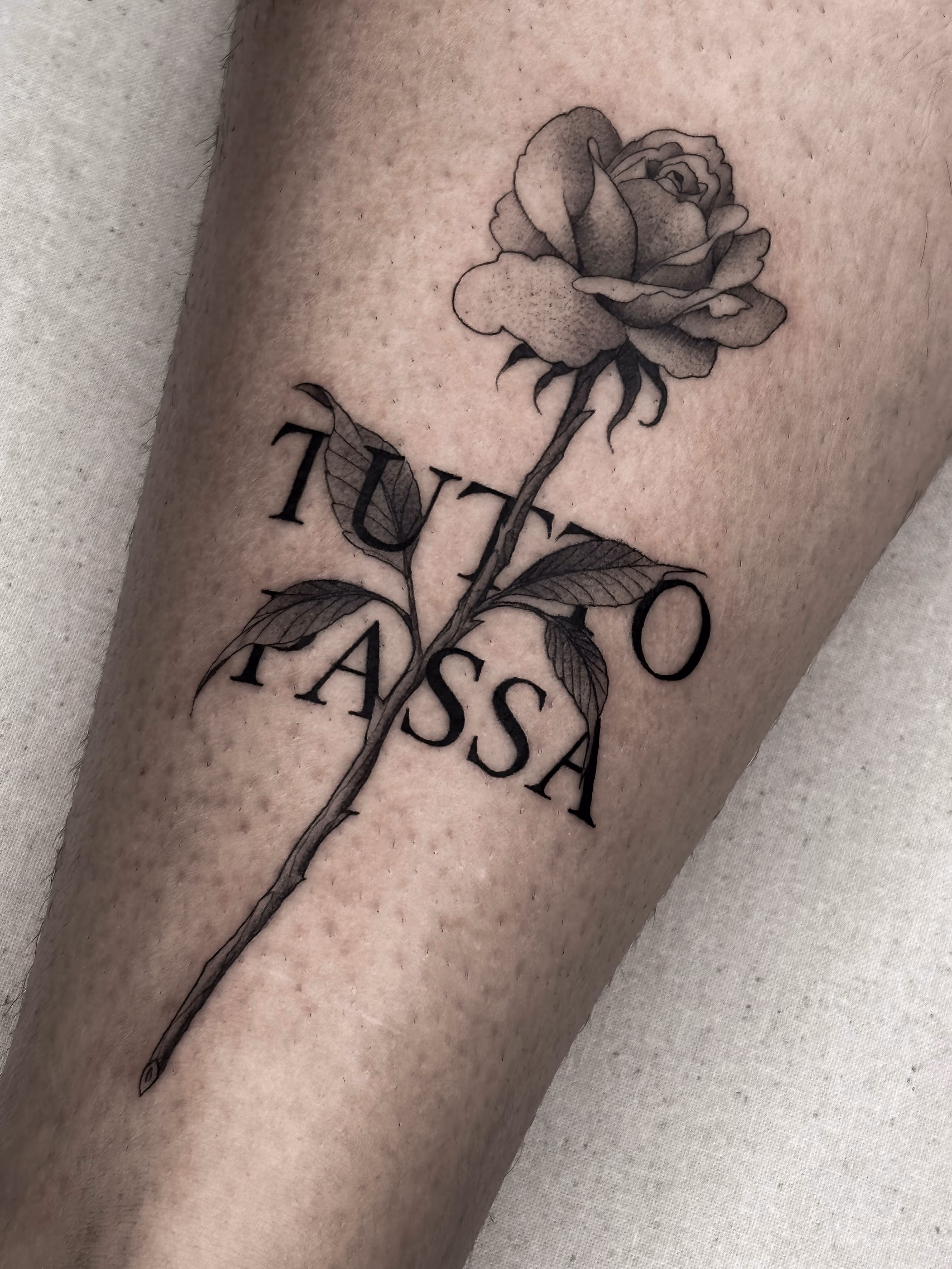 Flashes 07