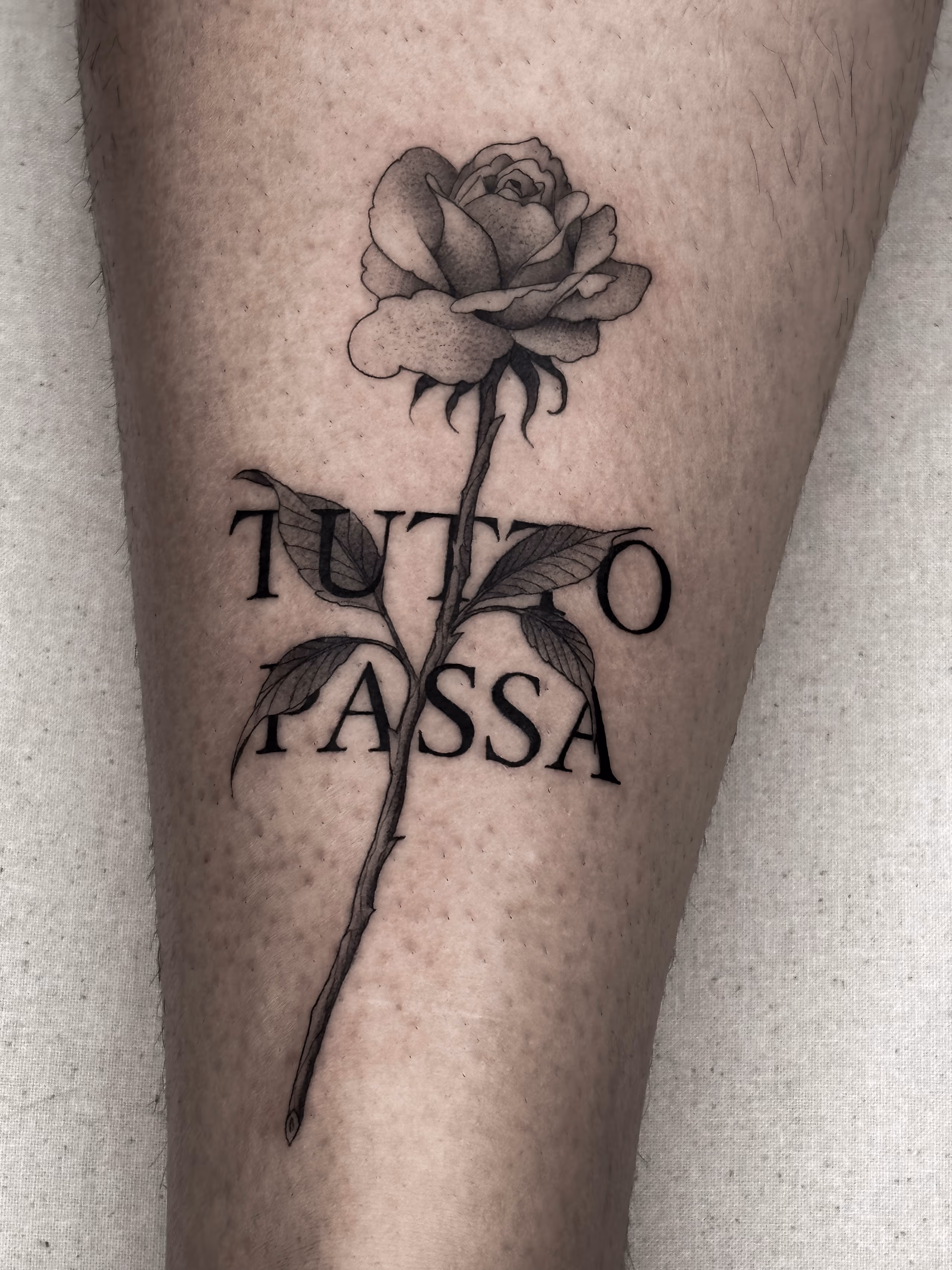 Flashes 08