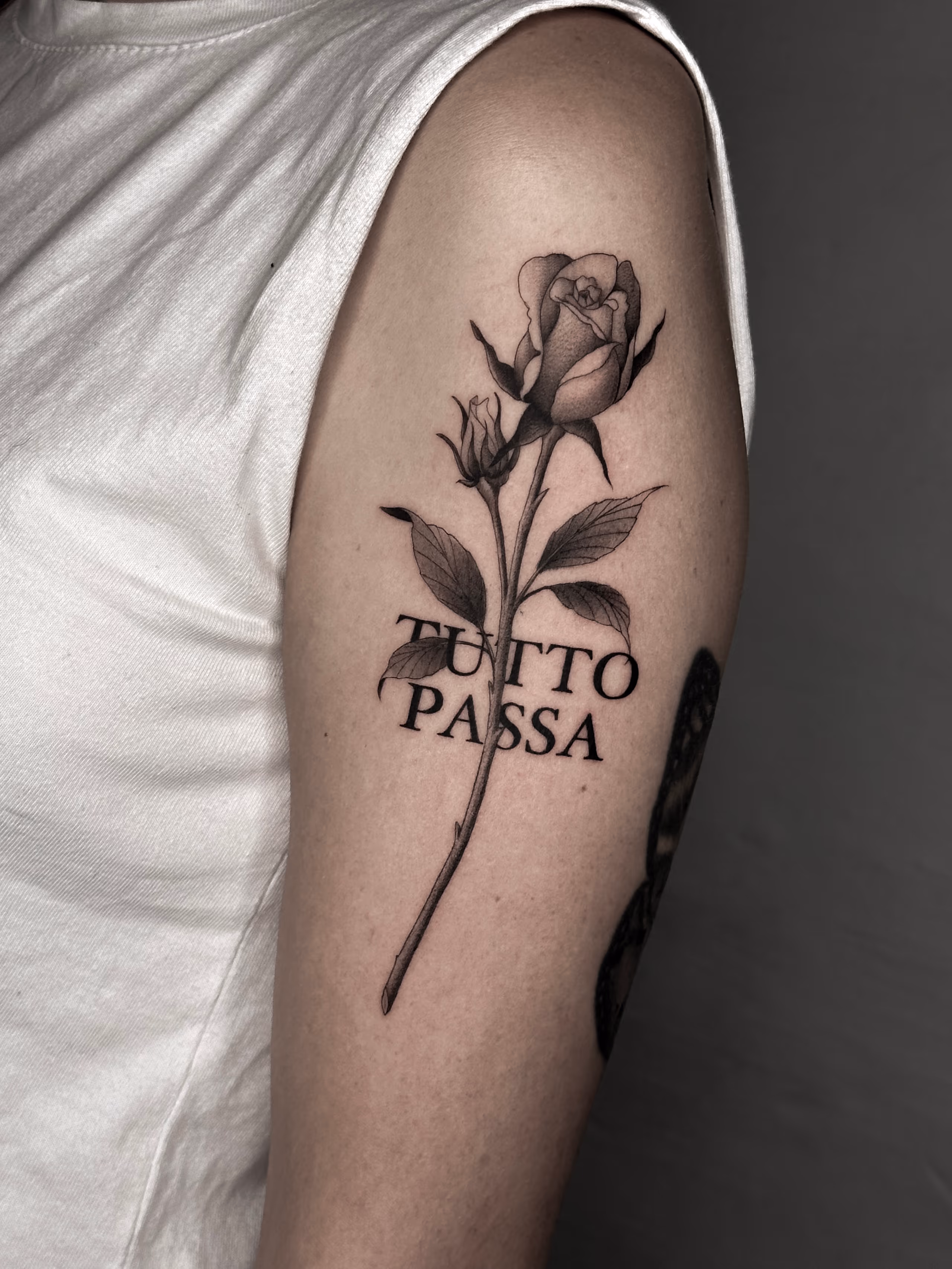 Flashes 09