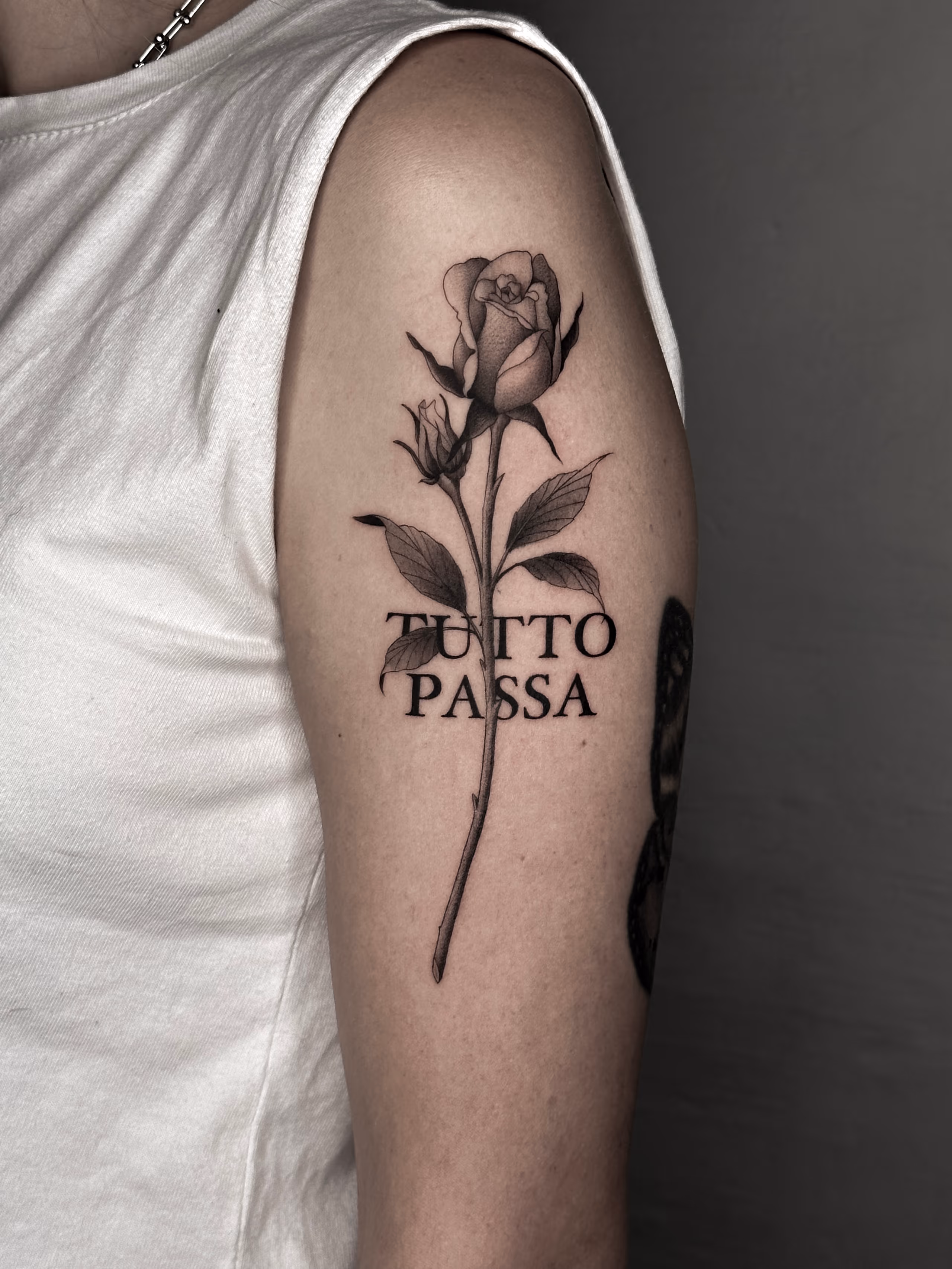 Flashes 01
