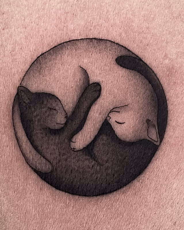 Minis 01