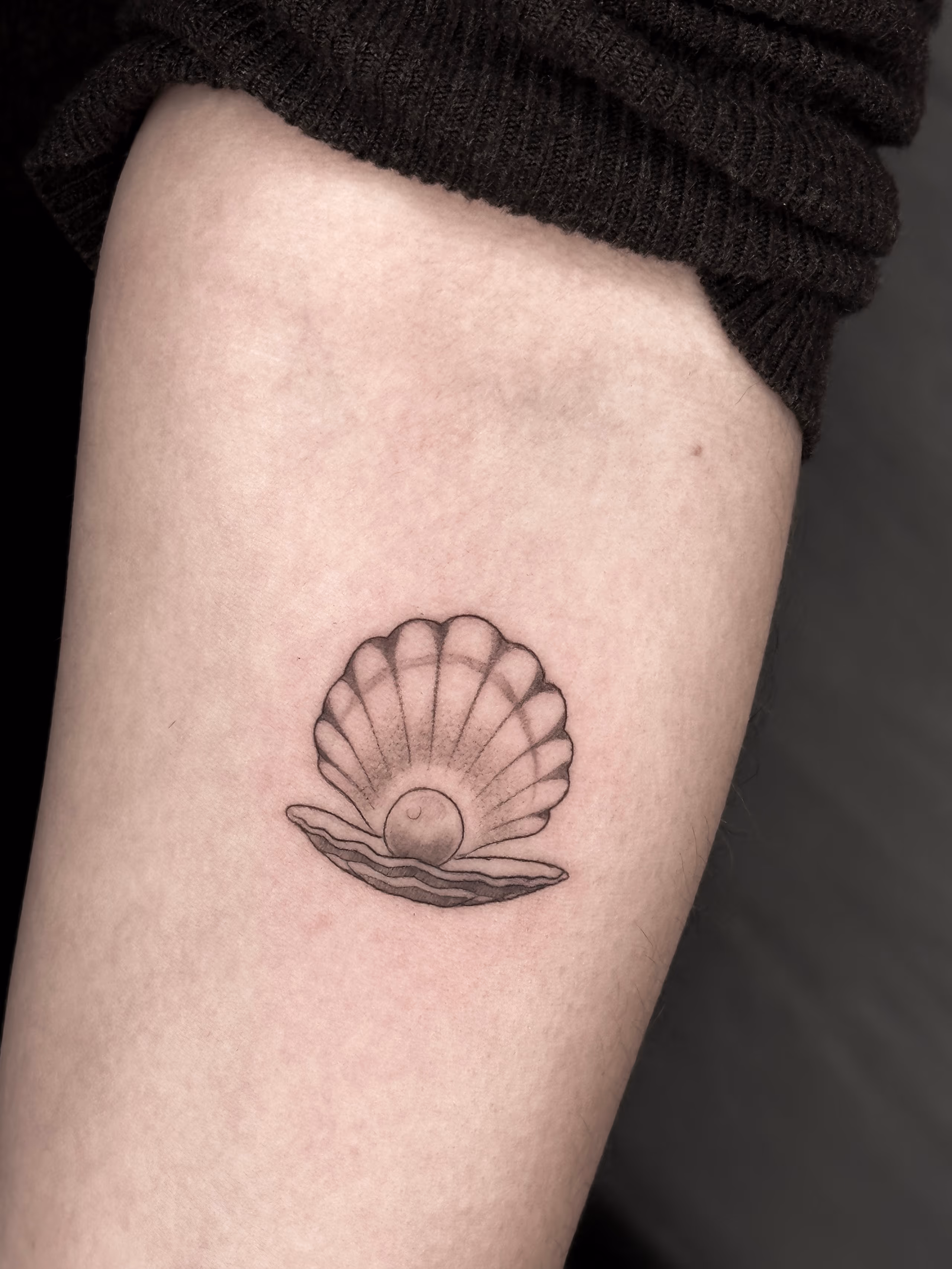 Minis 24