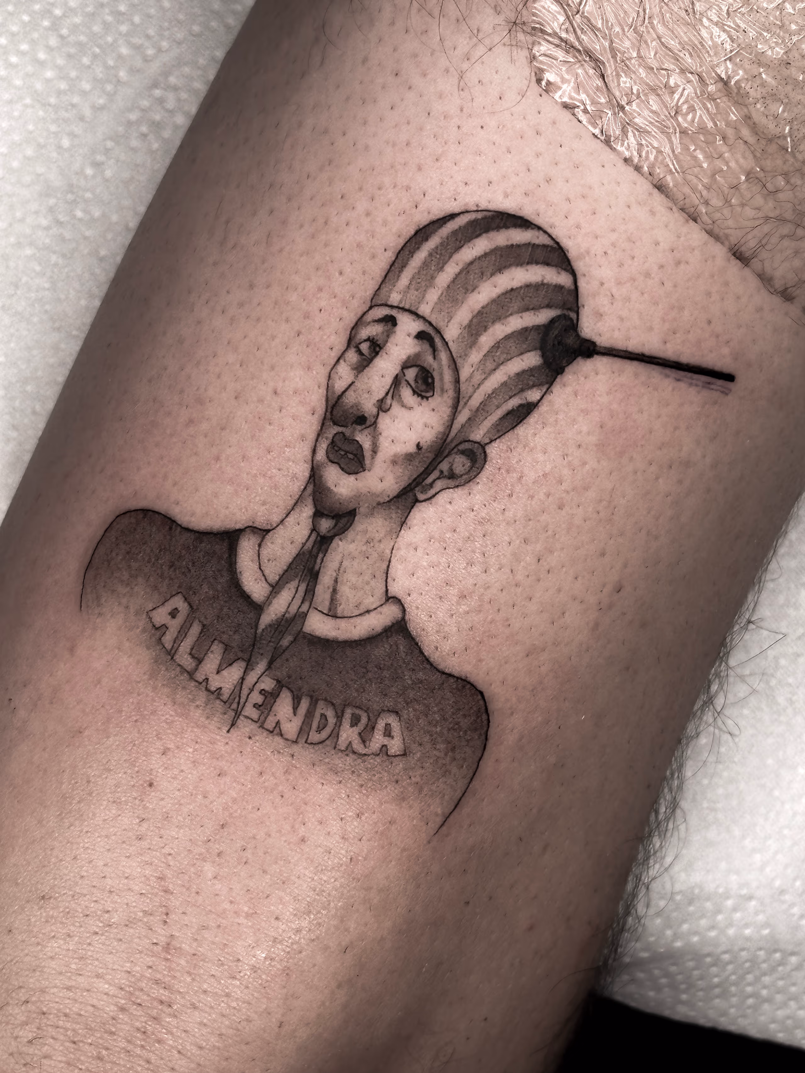 Música 13
