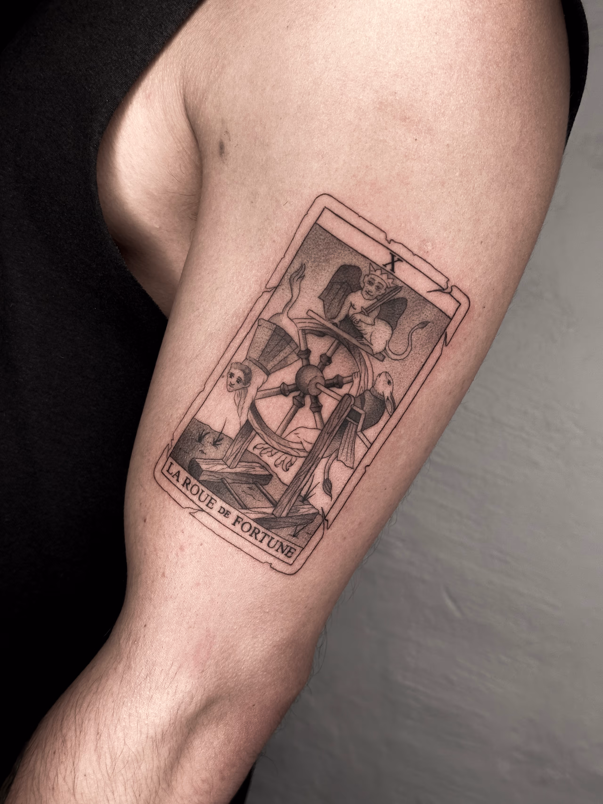 Tarot 01