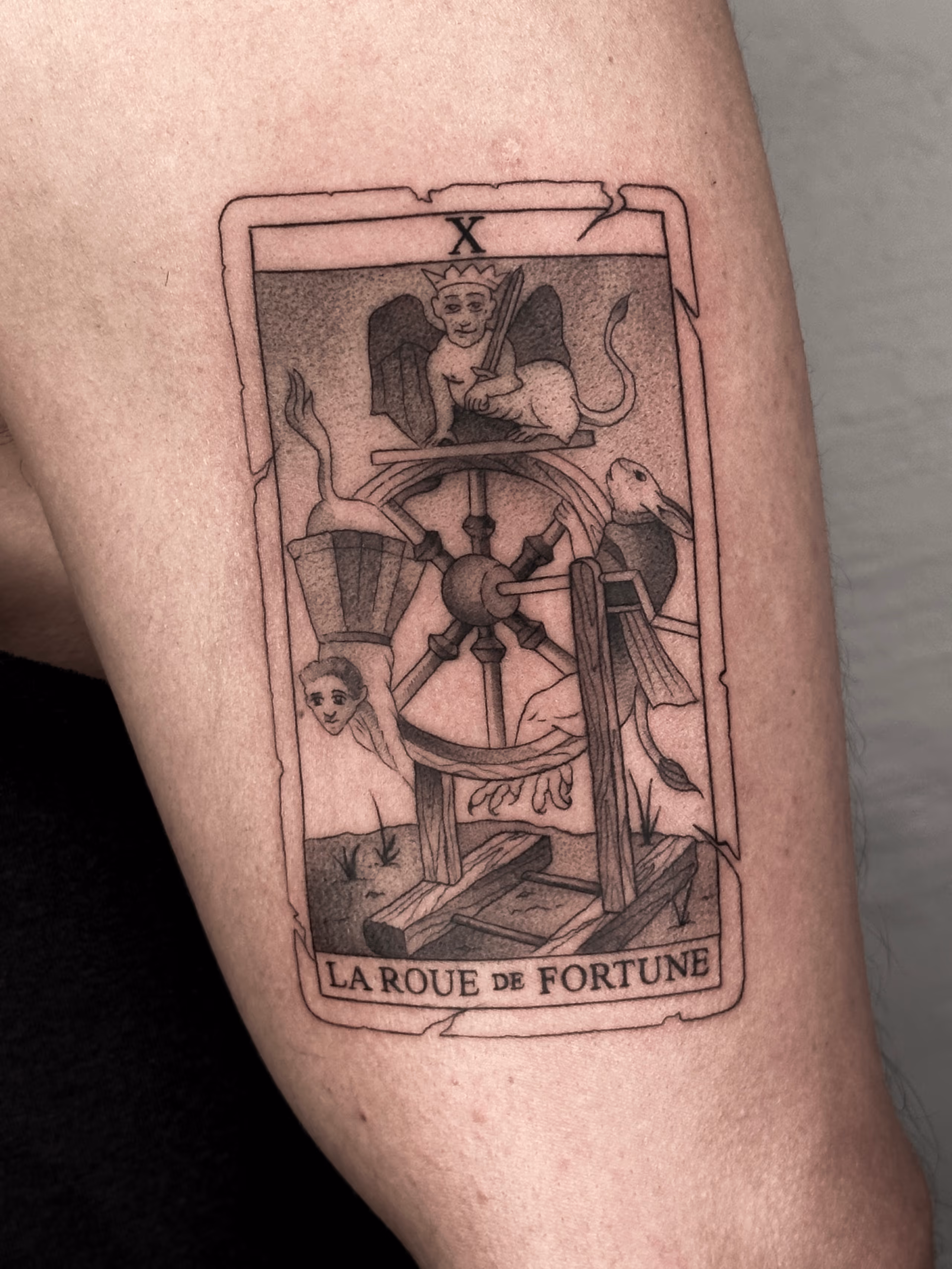 Tarot 02