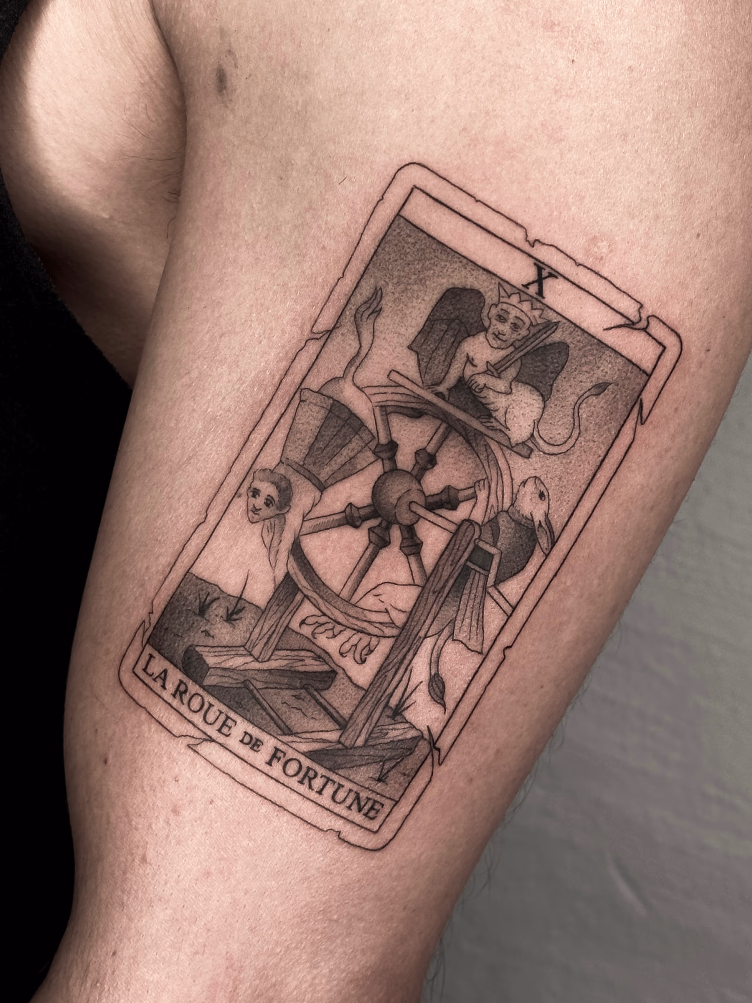 Tarot 03
