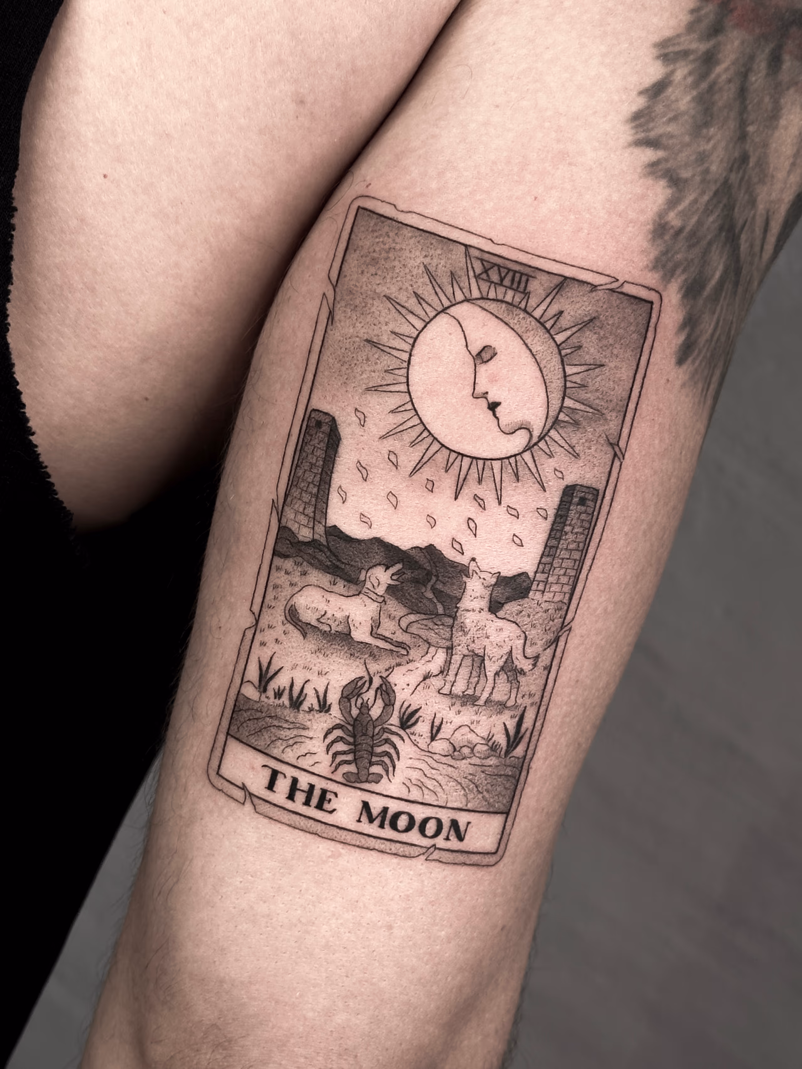 Tarot 04