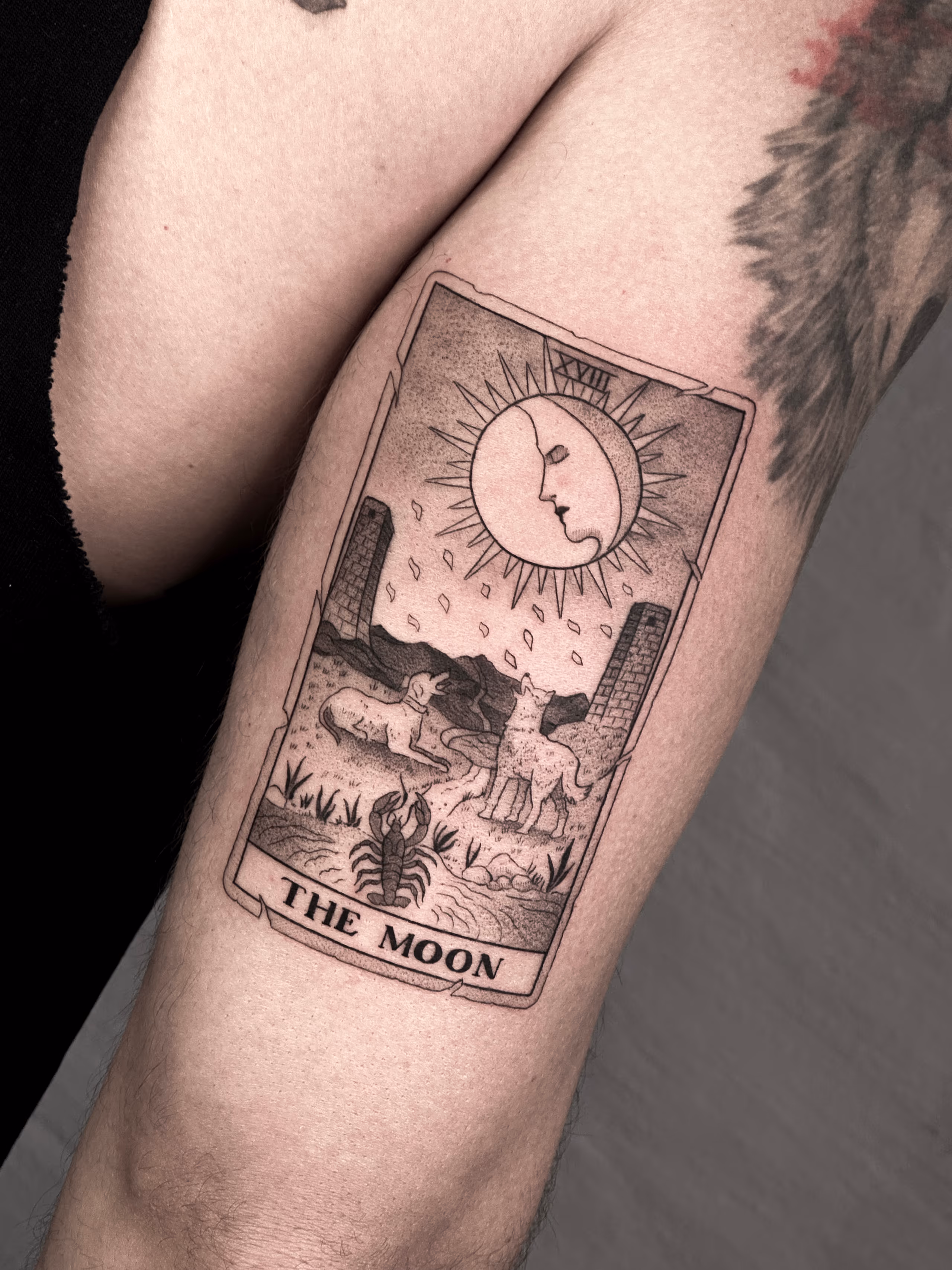 Tarot 05